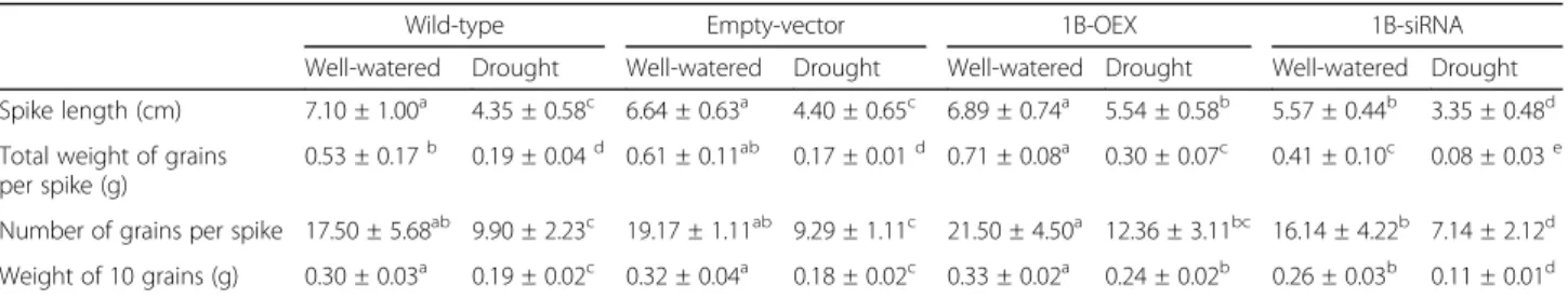 Table 1 TaZFP1B transcript levels affect the wheat inflorescence parameters. Plants (cv