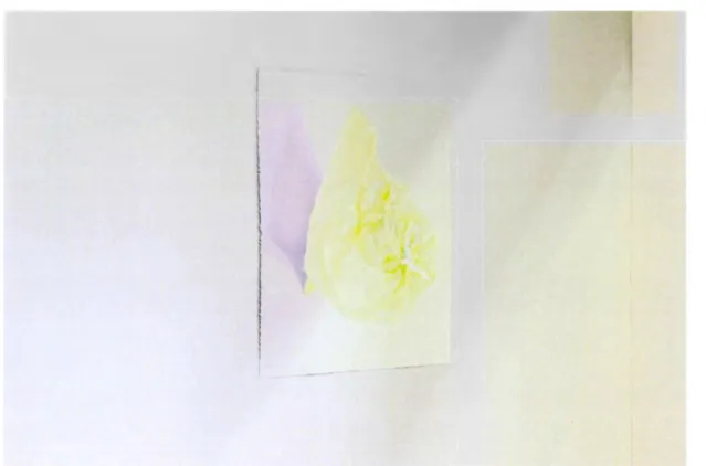 Figure  4.1  :  Corps flottant  (2019),  crayon  de  couleur,  pastel  sec  sur  papier  Rising  Stonehenge  et  intervention colorée sur mur