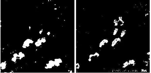 Figure 1: Result of a thresholding of the optical flow norm on the 11th frame of the sequence : tensor-based method on the left image, Weickert-Schn¨orr on the right.