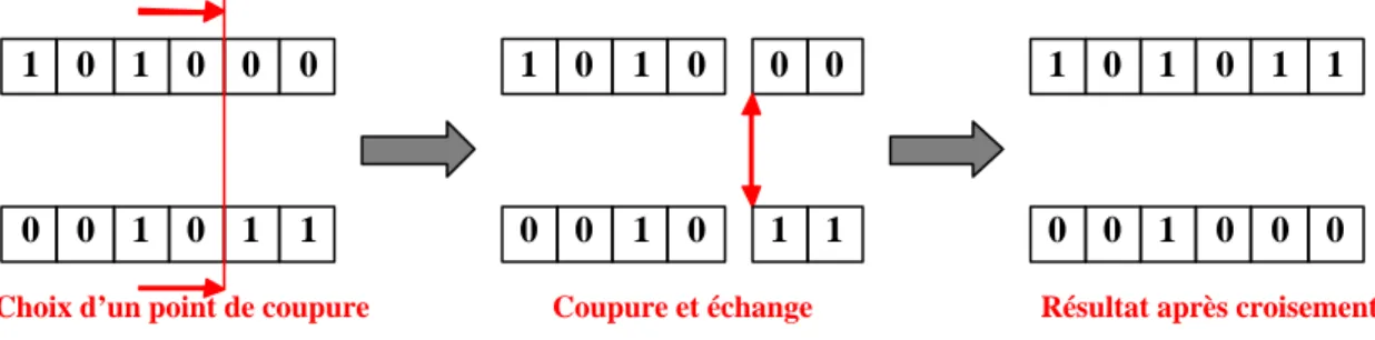 Figure 3.7 – Croisement en « un point » de deux génotypes binaires de 6 bits 