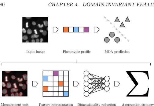 Figure 4.1: MOA prediction is performed on an image via a phenotypic profile. The development of such a profile spans four ordered stages
