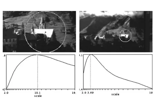 Figure  2-­‐6:  Set  of  responses  for  the  function  of  the  Laplacian  (trace  of  scale)  (Mikolajczyk,  et  al.,  2004)