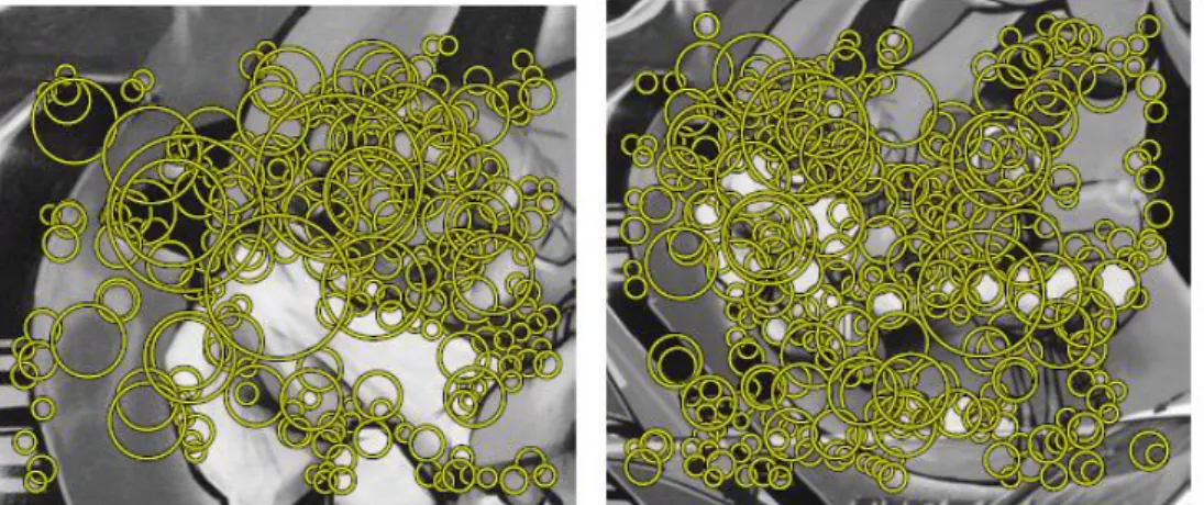 Figure  2-­‐11:  the  interest  points  detected  with  SURF  detector  extracted  from  (Tuytelaars,  et  al.,  2008)  