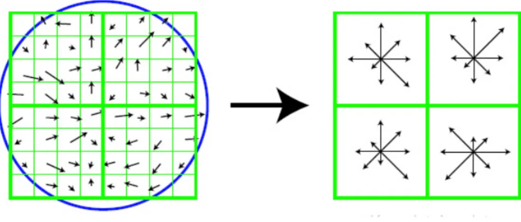 Figure  2-­‐13:    Illustration  of  the  SIFT  descriptor  calculation  partially  taken  from  (Lowe,  2004)  