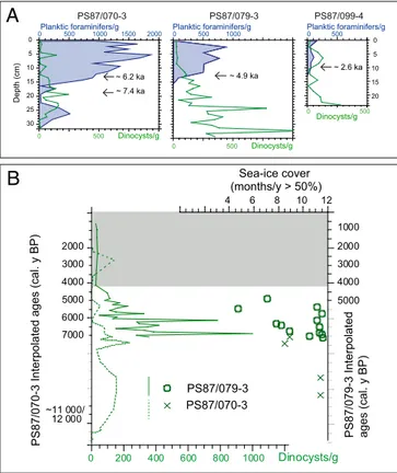 Fig. 3. (A) Microfossil concentrations (calcareous shells of planktic fora- fora-minifers and dinocysts) versus depth in cores PS87/070 –3, PS87/079–3, and PS87/099 –4 ( Datasets S3 and S4 )