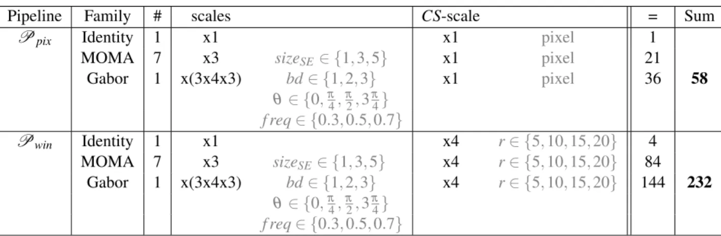 Table 3.1: Recap of the features used for pipelines P pix and P win . Note: MOMA stands for
