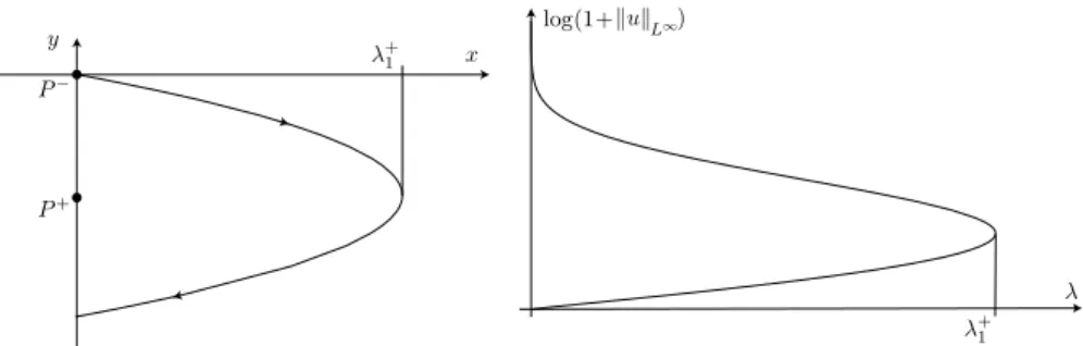 Figure 5. Parametrization of the solutions of (1.3) in the critical case (n = p = 2). Left: (¯ x, y) in the phase space