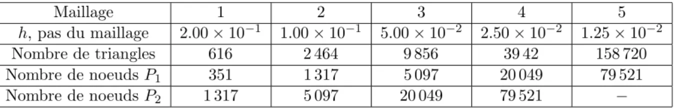Tab. 6.1 – Caract´eristiques des maillages.
