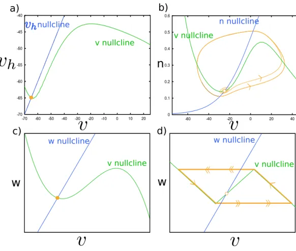 Figure 1.4: These figures represent the phase planes of four different neuron models. In all cases, the input acts as a vertical shifting of the cubic green curves