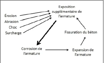 Figure 1-1 : Cycle de dégradation due à la corrosion des armatures d'acier dans le béton armé  conventionnel (Figure de Alexandre d'Amours) 