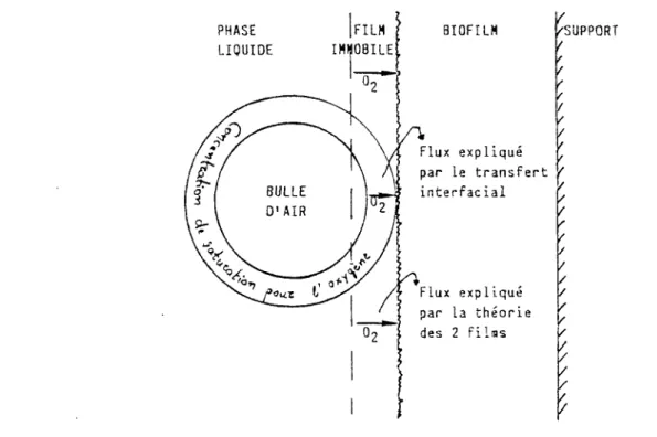 Figure 9. Flux de l'oxygène à la surface du biofilm selon LEE  e t STENSEL  (85). 