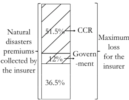 Figure 1: Reinsurance policy