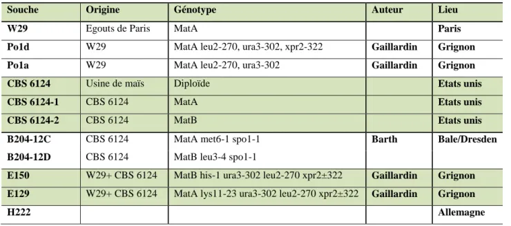 Tableau 1: Tableau des principales souches utilisées de Yarrowia lipolytica  
