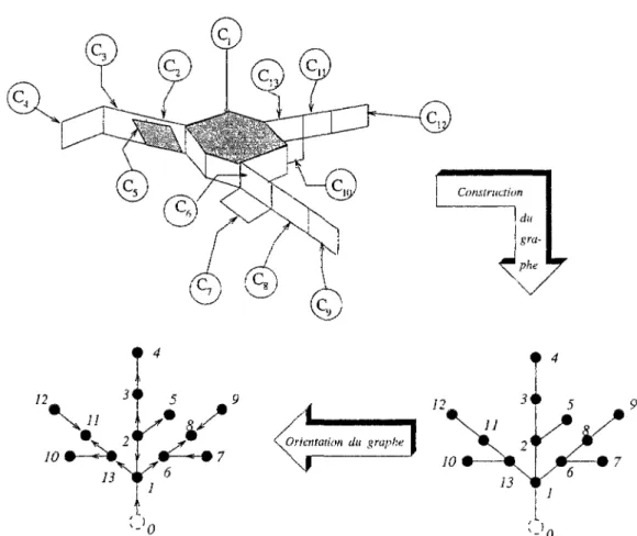 Fig. 3.9: Graphe associé à une structure arborescente (graphe orienté) 