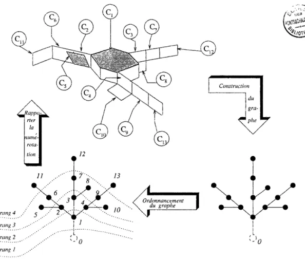 Fig. 3.10: Graphe associé à une structure arborescente (graphe ordonné) 