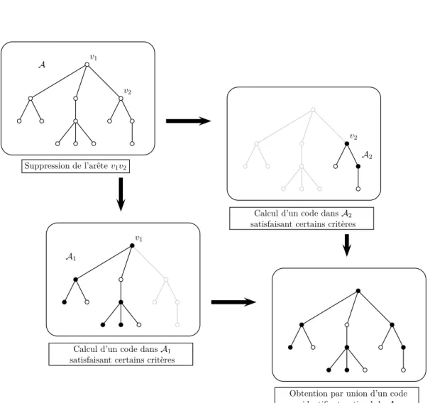 Figure 3.I – Principe de l’algorithme de calcul d’un code identifiant optimal dans un arbre