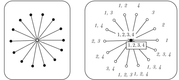 Figure 4.III – À gauche, un code identifiant optimal (sommets noirs) sur l’étoile à 15 sommets