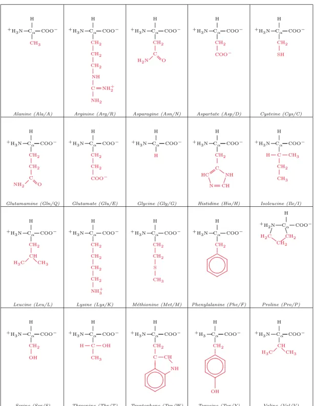 Figure 1.2: The 20 amino acids. The side chains are in red.