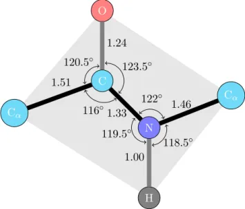 Figure 1.3: Peptide bond geometry in trans conﬁguration