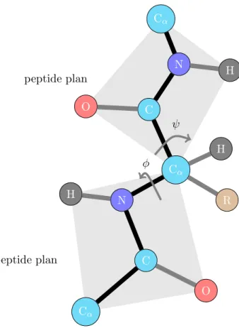 Figure 1.4: Torsion angles between two peptide plans