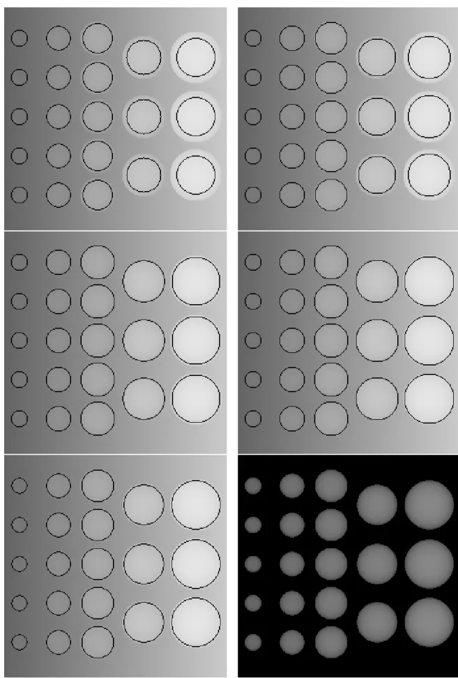 Figure 9: Test Images: blobs are detected in spite of dierent contrast values. In each blob, the gray level function is dened as a half sphere with a maximum in the middle