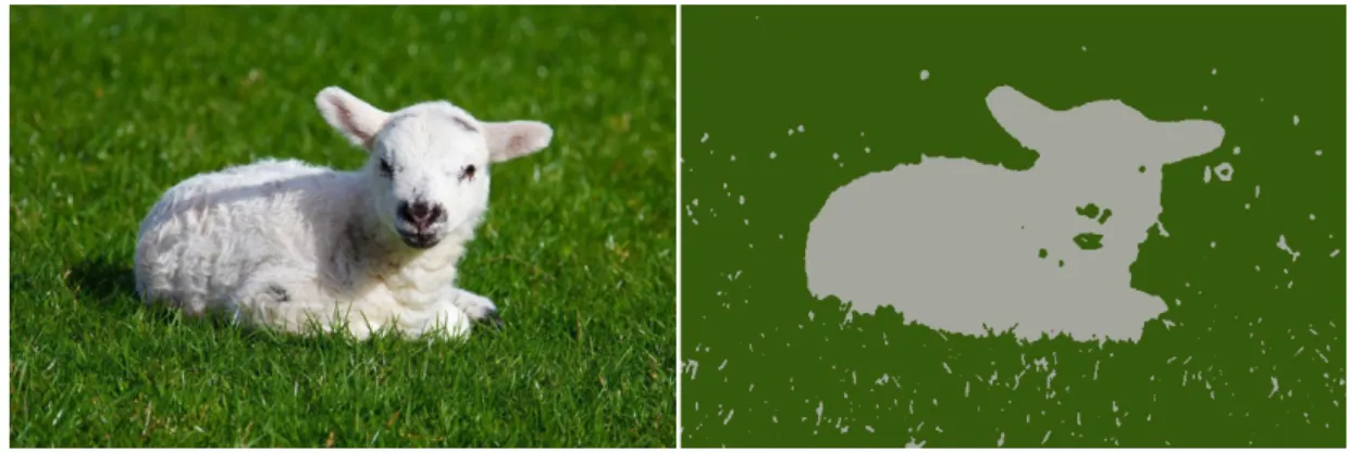 Figure 3.1: Example of a crude segmentation to detect a white lamb on a grass background