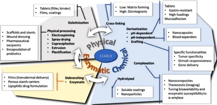 Figure 3. Relationship between starch modiﬁcations and its pharmaceutical and biomedical applications.