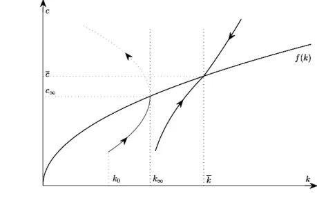 Figure 3. The case when capital pollutes.