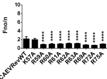 Figure 6. Impact of single alanine substitutions on the nucleolar localization of the CAEV Rev protein