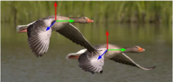 Figure 1: Examples of body attitude coordination/dis-coordination and the use of the rotation matrix representation