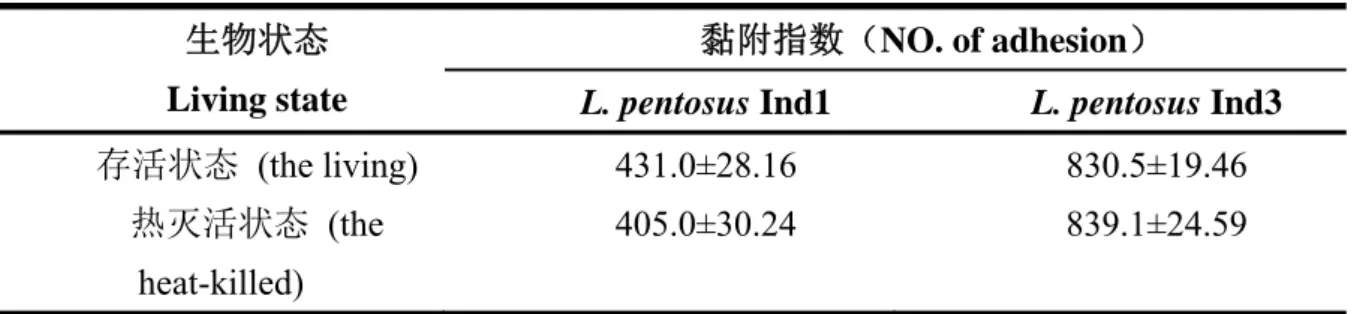 表 4.4  乳杆菌生物状态对黏附的影响 