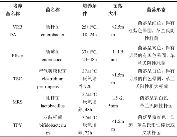 表 5.1  小鼠粪便微生物检测指标 