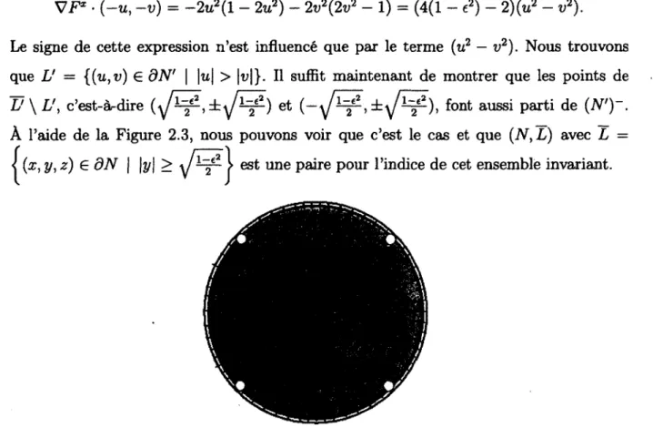 Figure 2.3 - Cette image  est  obtenue du gradient  VF1. Les  quatre petits cercles  repré­ sentent les points dont nous devons vérifier l'appartenance à (N')~