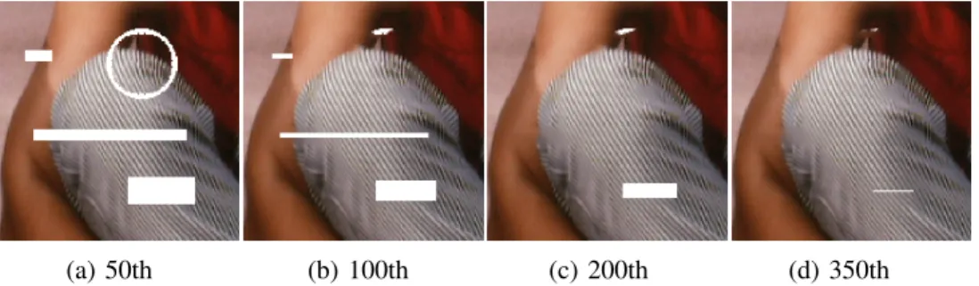 Fig. 13. The process of inpainting with NL/MSH 1 in 50th, 100th, 200th, 350th iterations.