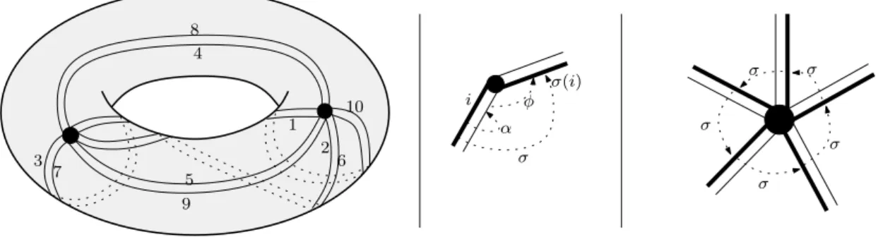 Fig. 1.5 – (a) Repr´esentation des arˆetes en rubans. (b) L’application σ = φα. (c) Un cycle de σ.