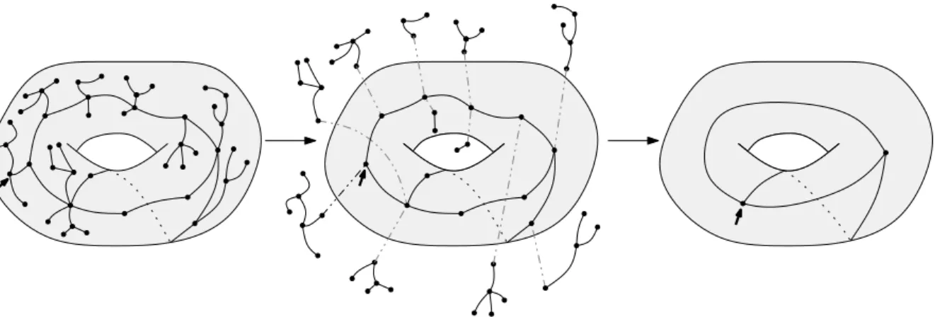 Fig. 2.3 – (a) Une carte `a une face de genre 1 ; (b) son cœur ; (c) son sch´ema.