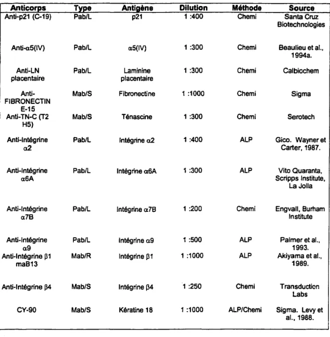 Tableau  1.  Caractéristiques  des  anticorps  utilisés  pour  la  détection  des  antigènes pour les analyses Westem