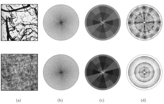 Figure 2.9: Two different textures having the same Fourier power spectrum. (a) Textures X(u)