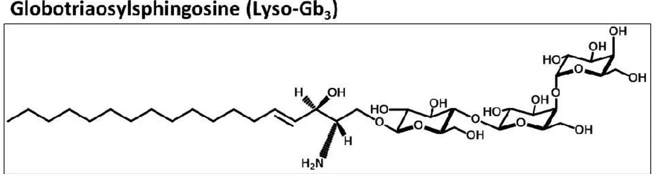 Figure 8. Structure de la molécule du globotriaosylsphingosine (lyso-Gb 3 ).   