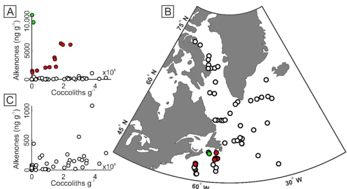 Figure 8. Concentrations of alkenones versus coccoliths. A) Alkenones represented on a scale  from 0 to 10,000 ng g -1  with eleven samples (red) showing a strong correlation (r 2  = 0.77 ; p = 