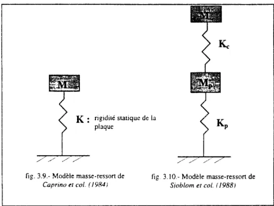 fig. 3.9.- Modèle masse-ressort de 