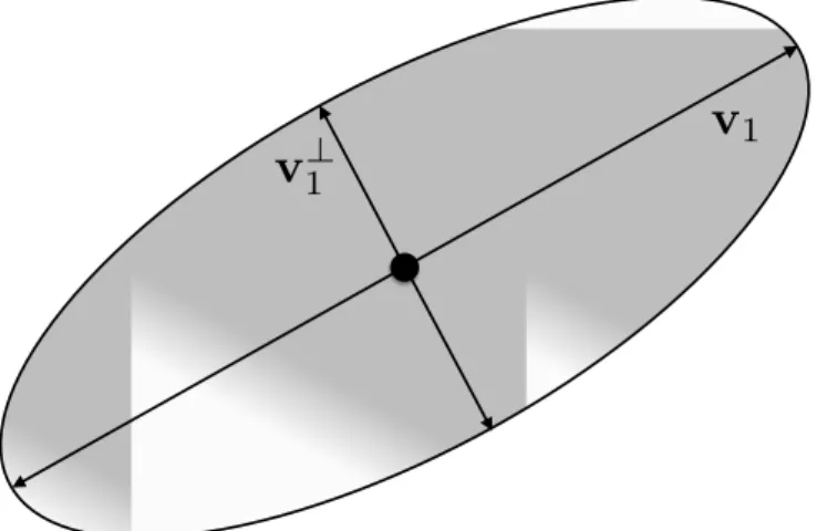 Figure 2.8: Visualization for a typical 2D positive definite symmetric tensor by an ellipse.