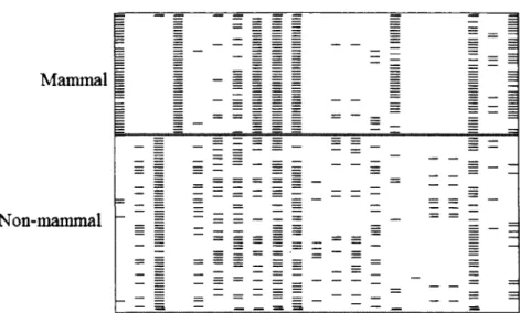 Figure 2.4: Incidence matrix of bisection of Zoo 