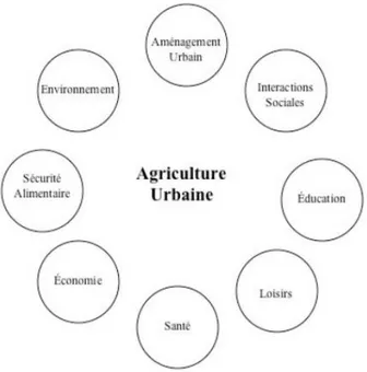 Figure 1.1 Multifonctionnalité de l'agriculture urbaine. Tirée de Wegmuller et Duchemin,  2010, p