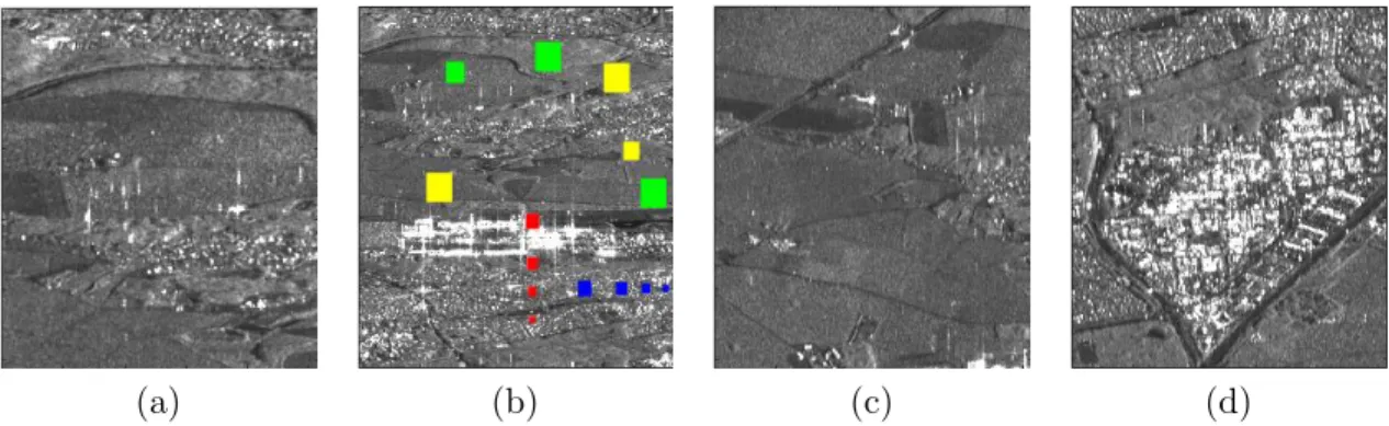 Figure 3.15: Different Sentinel-1 arithmetic mean images over different land covers. Different colors represent different changes (the corresponding time series are shown in Fig.3.17) : green=farmland, yellow=forest, red=appearing, blue=appearing then  dis
