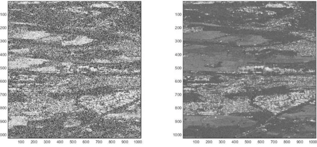 Figure 4.1: Spatial coherence on a 3×3 window between 2 Sentinel-1 images (left) and the geometric mean of the temporal coherence images (right)