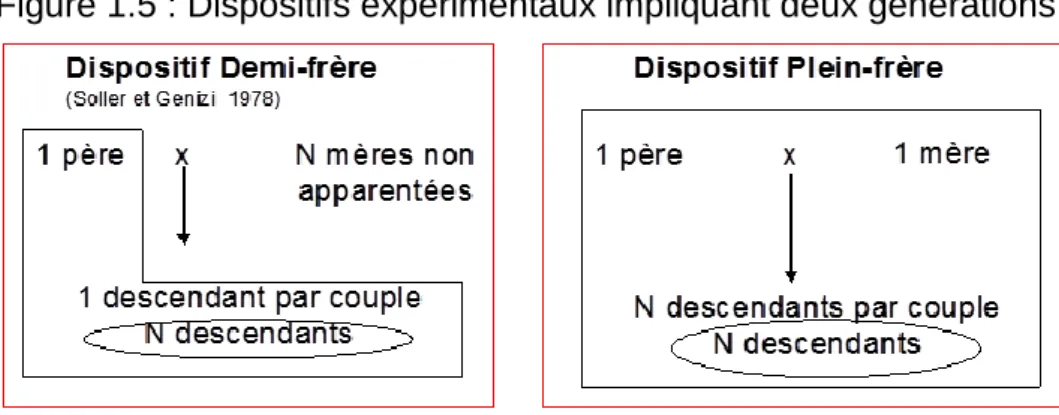 Figure 1.6 : Dispositifs expérimentaux impliquant trois générations 