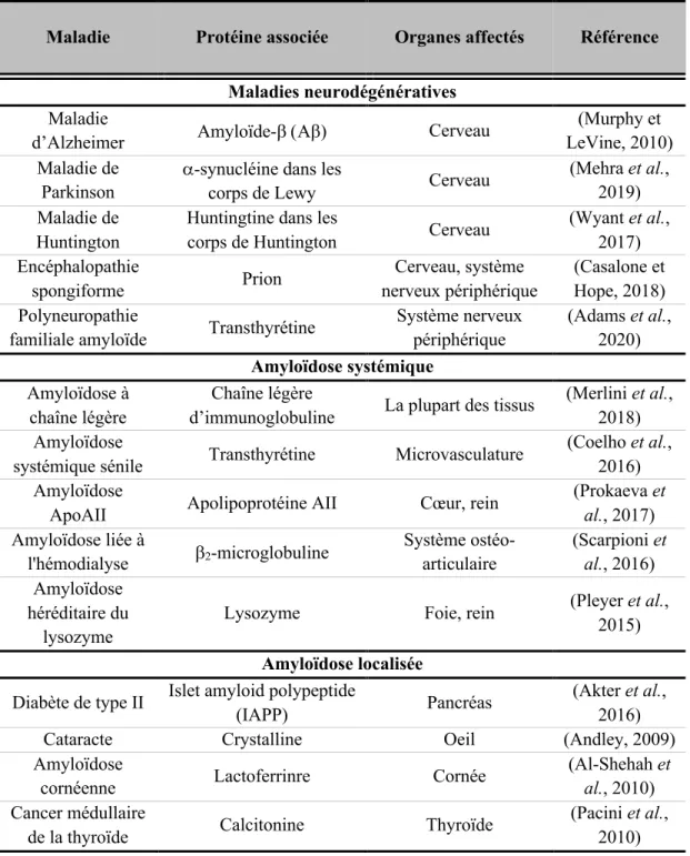Tableau 1.2 Exemples de maladies associées à un gain d’une fonction toxique et  protéine majeure des dépôts insolubles