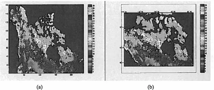 Figure 8. Land cover classification ofNorth American year 2000 (Lafifovic et aI., 2002) (a) EASE-Grid projection and (b) visualization of the same figure in geographical