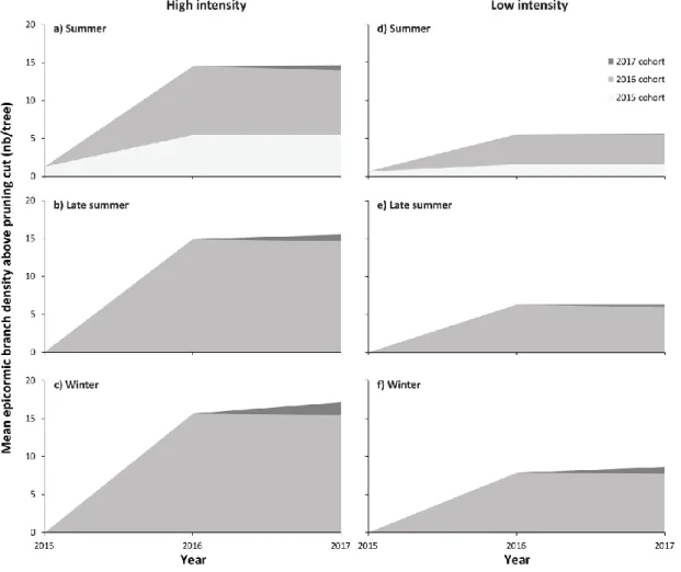 Figure 1.2  Temporal  dynamics  of  epicormic  branch  densities  after  reduction  of  the  main stem and above the pruning cut by cohort and by year for each of the pruning  intensities and seasons